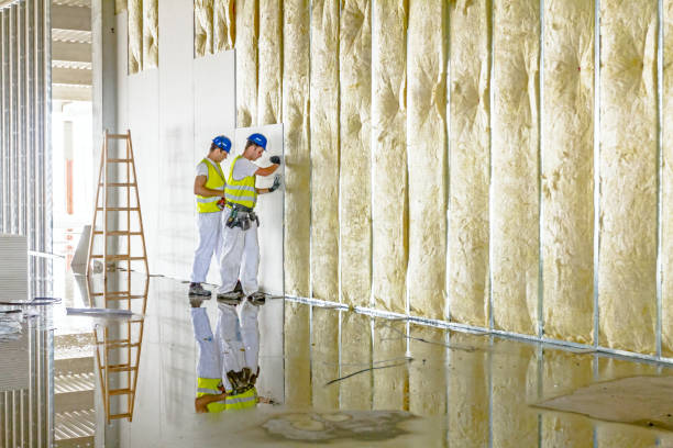 Best Insulation Air Sealing  in Schenectady, NY